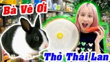 Trải Nghiệm Thú Vị Bà Vê Cho Thỏ Thái Lan Ăn Cỏ - Vê Vê Animal