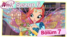 Winx Club - Sezon 6 Bölüm 7 - Kayıp Kütüphane