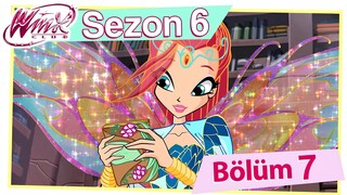 Winx Club - Sezon 6 Bölüm 7 - Kayıp Kütüphane