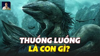 THUỒNG LUỒNG - THỦY QUÁI ĐÁNG S.Ợ NHẤT VIỆT NAM LÀ CON GÌ? I DISCOVERY