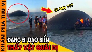 🔥 Ngư Dân Việt Nam Phát Hiện Sinh Vật Khổng Lồ Và 12 Thứ Bí Ẩn Trôi Dạt Vào Bờ Biển| KPTV