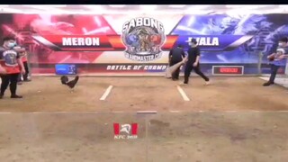 Sabong Part-166 Bulik Vs Pula