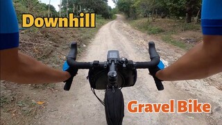 Downhill with Salsa Vaya BZ Mont