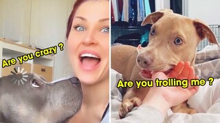 Animals Actually Understand What You're Saying  - Try Not To Laugh Funny Animal Videos 2021