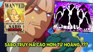 Preview One Piece 1084 | Công Bố Truy Nã Sabo, Thánh Hiệp Sĩ Và Trái Ác Quỷ