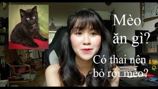 Nuôi mèo ở Đức