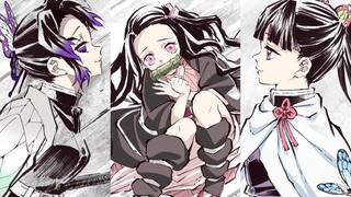 จะเกิดอะไรขึ้นถ้ามีคนหลายคนต่อสู้กันใน Demon Slayer? -