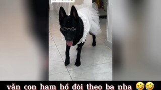 Một chiếc chốn lò mặm mà =)))