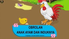 OBROLAN ANAK AYAM DAN INDUKNYA