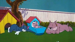 (TikTok Jerry and tom)  Jerry and Dog | TV kids