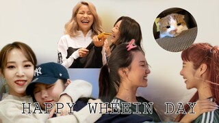 All Members greetings for Wheein's Birthday + Master Ggomo