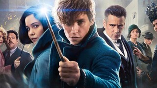 【Fan Edit】Movie Cuts | Wizards and Witches