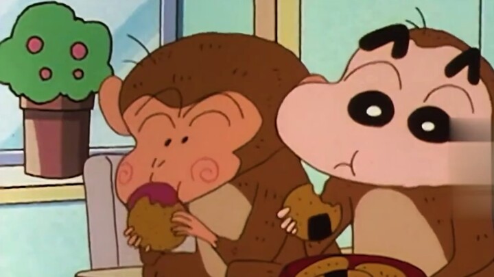 A monkey broke into the Nohara family, and Shin-chan easily tamed him