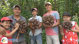 Chặt DỪA NƯỚC DẦM ĐÁ ĐƯỜNG Ăn Liền Tại Chỗ | Hội Ngộ Miền Tây - Tập 239