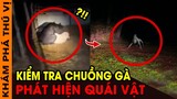 🔥 7 Sinh Vật Bí Ẩn Xuất Hiện Tại Trung Quốc Vô Tình Bị Camera Quay Lại Khiến CĐM Sửng Sốt | KPTV