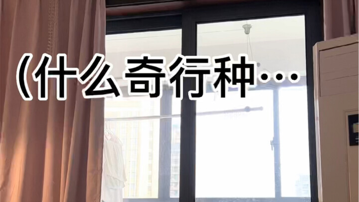 专治emo
