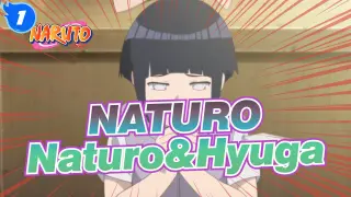 NATURO|【The Last】Scene of Naturo&Hyuga_1