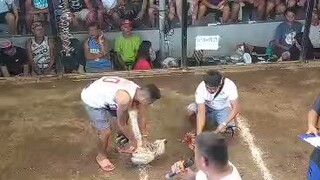 2 hits ulutan