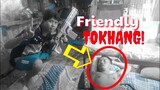 Friendly Tokhang! | Raid Master | Tenrou21