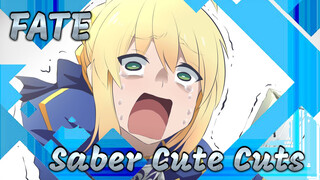 [FATE/Saber] When Saber Tries To Be Cute!!