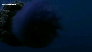 Muro-ami_720P.mp4 Blockbuster Movie
