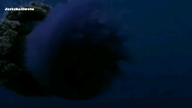 Muro-ami_720P.mp4 Blockbuster Movie