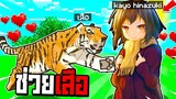 ช่วยเสือน้อย!! แปลงร่างเป็น【Kayo Hinazuki】จนเสือมากัดผมเอง.!!