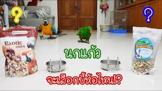 รีวิวนกแก้ว: นกแก้วจะเลือกอาหารยี้ห้อไหน?? EP.50