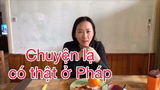 Chuyện lạ có thật ở Pháp đổi vợ cho nhau 419/văn hoá pháp/khám phá nước pháp/Cathy gẻardo cuộc sống