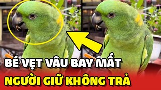 Bé Vẹt tên Vâu bị NGƯỜI LẠ BẮT LẠI và tuyên bố KHÔNG TRẢ cho chị chủ | Yêu Lu