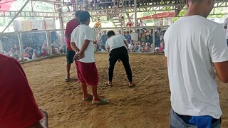 dirty dom 1st fight win