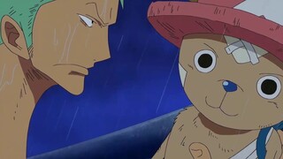 [One Piece] Zoro tidak hanya diejek oleh kolektif, tetapi juga dikeluhkan oleh "hewan peliharaan" 10