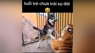 hôm nay a đây ăn chay nhé 😆haihuoc vuinhon xuhuong xuhuongtiktok