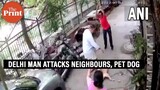 Delhi man attacks neighbours & their pet dog with iron rod
