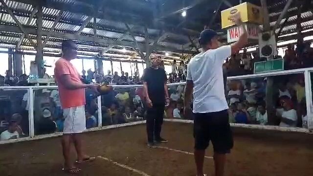 panoorin ang laban