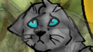 Ashfur's Hurt