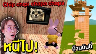 แมวชิปปี้ๆชัปป้าๆ vs บ้านของบันนี่ chipi chipi chapa chapa | Mind&Nat