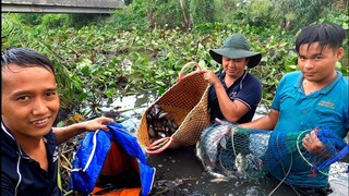 Qua Gò Công mua lưới xuống kênh kéo cá luôn - Bin Đen Miền Tây # 378