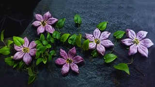 Celebrate Chinese Valentine’s Day with “Qiaosu”原来这才是七夕节的正确打开方式：入口即化的“巧酥”