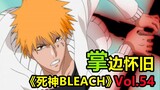 完现术！一护的死神之力复健训练 -【掌】边怀旧《死神BLEACH》经典回顾第54期