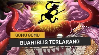 Fakta Terbaru Buah Iblis Luffy One Piece - Gomu Gomu - Nika Buah Iblis Terlarang