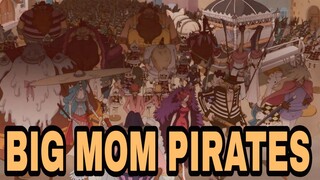 SEKUTU BARU MUGIWARA PIRATES