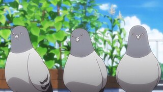 请问up，这个三个UP主并排站着的是啥番？【阅片无数15】
