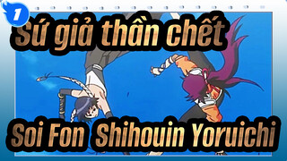 Sứ giả thần chết
Soi Fon&Shihouin Yoruichi_1