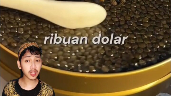 telur ikan sturgeon#fauna #fyi #caviar #sturgeon #ikan #fyp #jowo #wongjowo #faktaunik