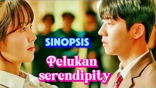 SINOPSIS DRAKOR PELUKAN SERENDIPITY || Kisah Romantis Chae Jong Hyeop Dan Kim So Hyun