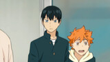 The orange puppy doesn’t know what to do, the orange puppy will only hide behind kageyama