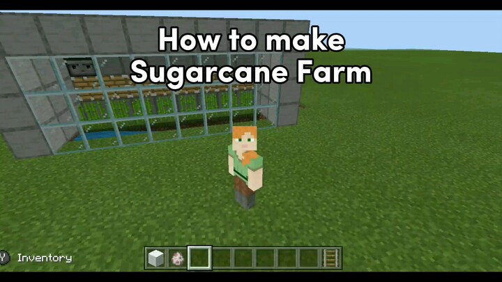 How to make Sugarcane Farm Simple In MCPE