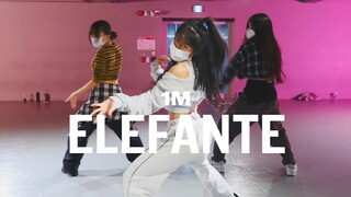 NK - ELEFANTE / Minny Park Choreography