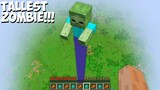 What HAPPENED to THIS MOST TALLEST ZOMBIE in Minecraft ! BIGGEST ZOMBIE !